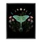 Stupell Industries Luna Moth with Florals Floating Frame Design By Episodic Drawings